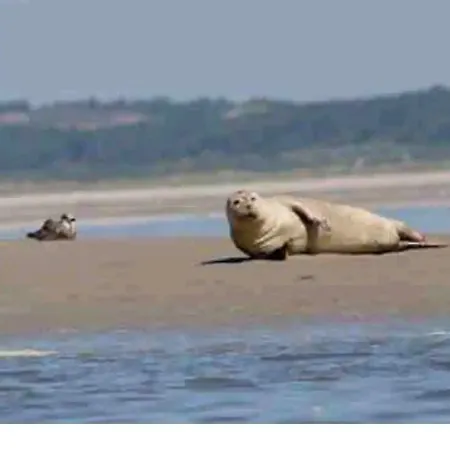 Plaisir En Baie Дом отдыха Saint-Blimont